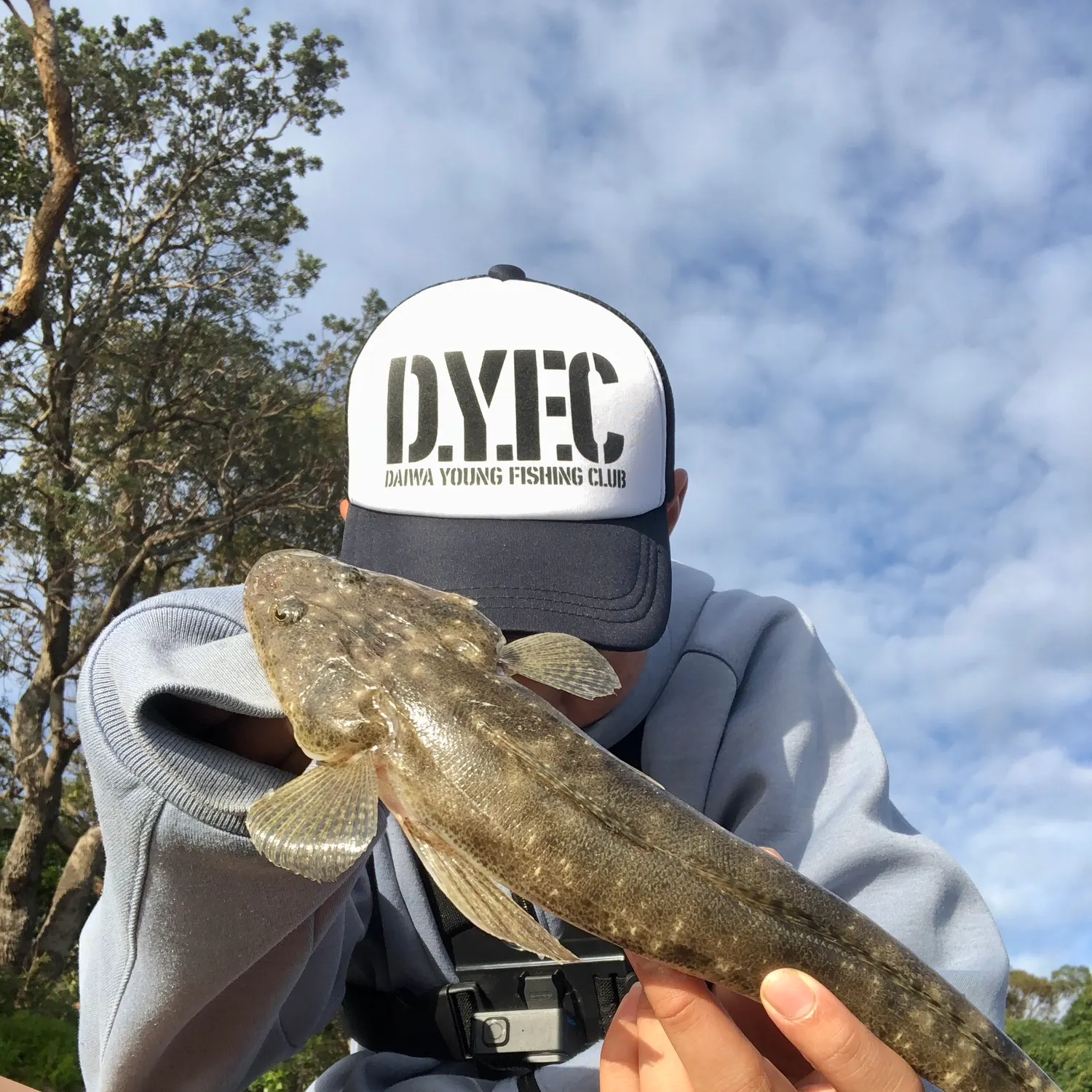 The most recent Dusky flathead catches on Fishbrain
