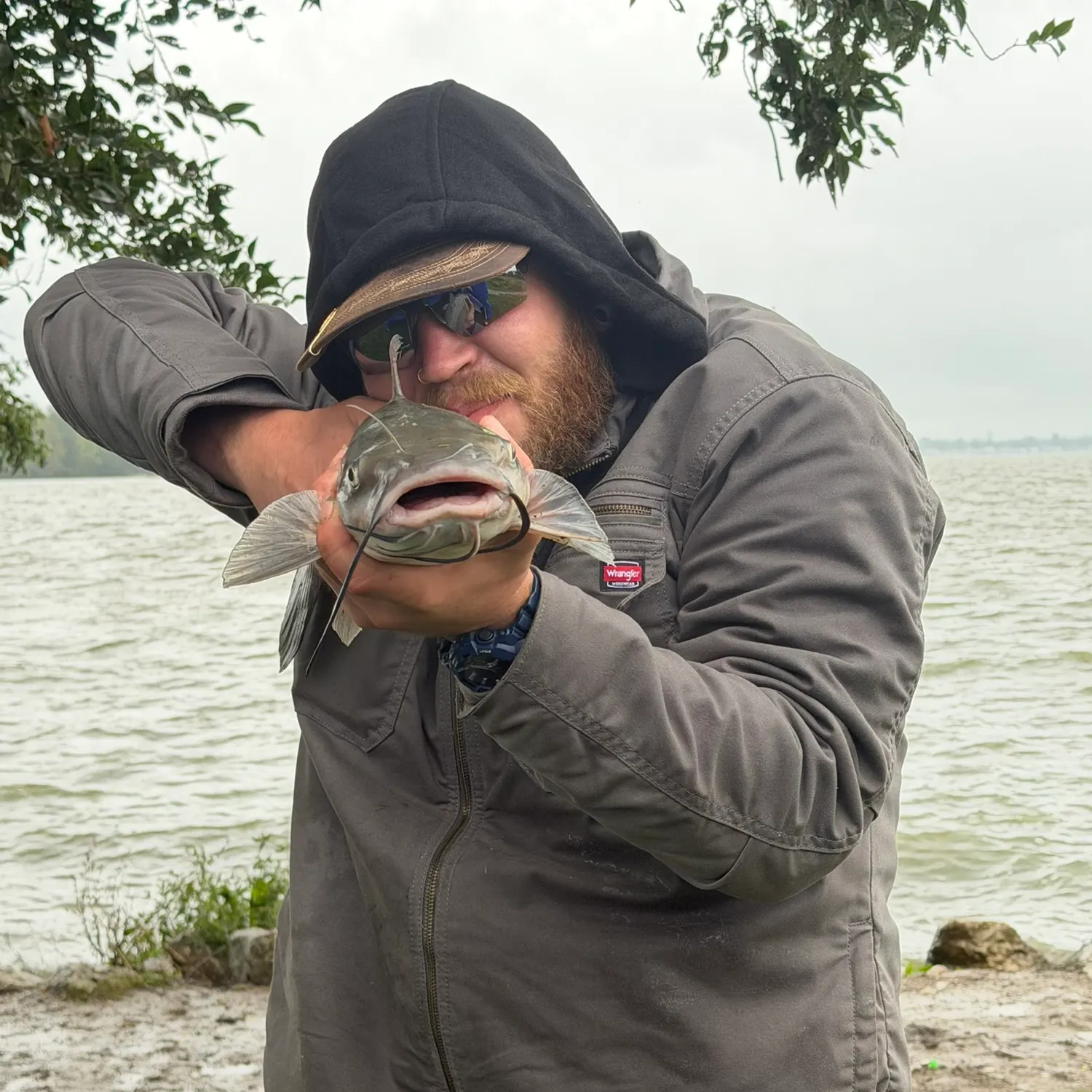 Channel catfish caught on Fishbrain