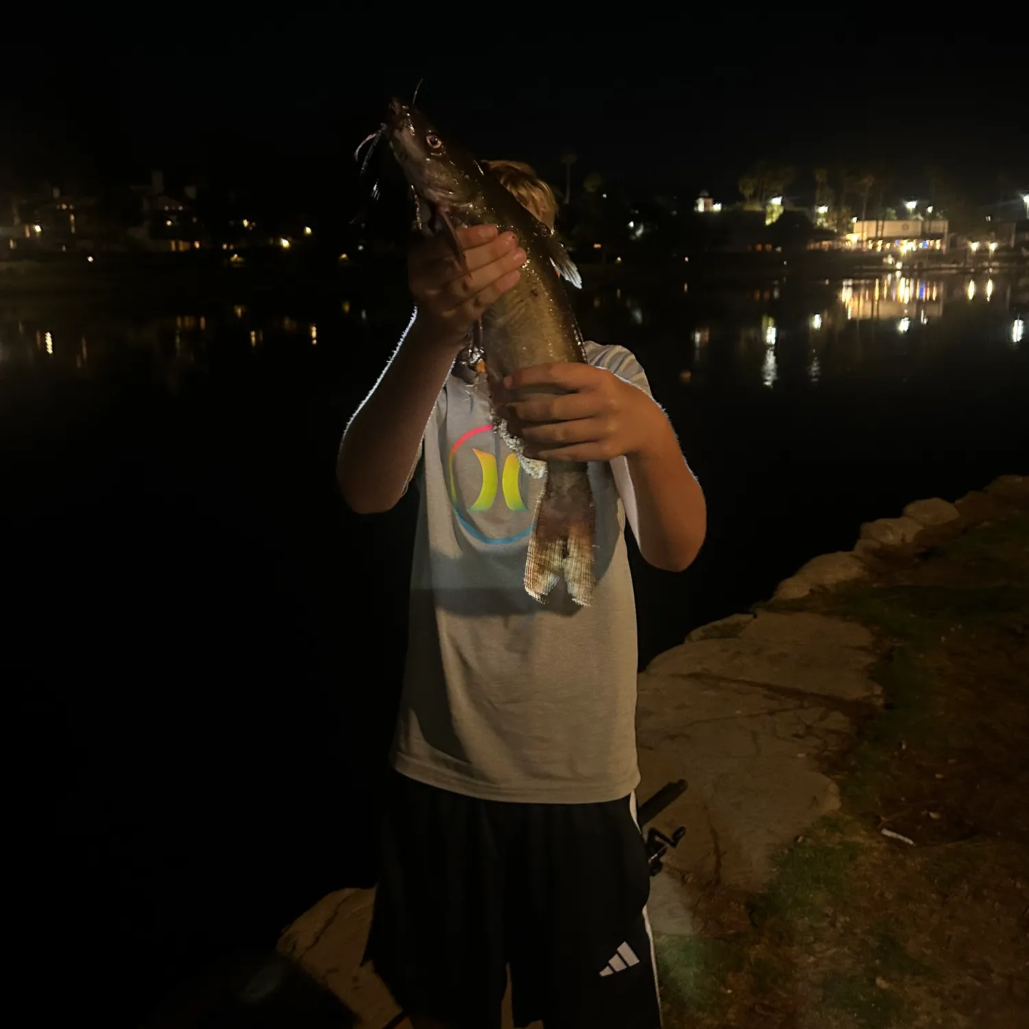 Channel catfish caught on Fishbrain