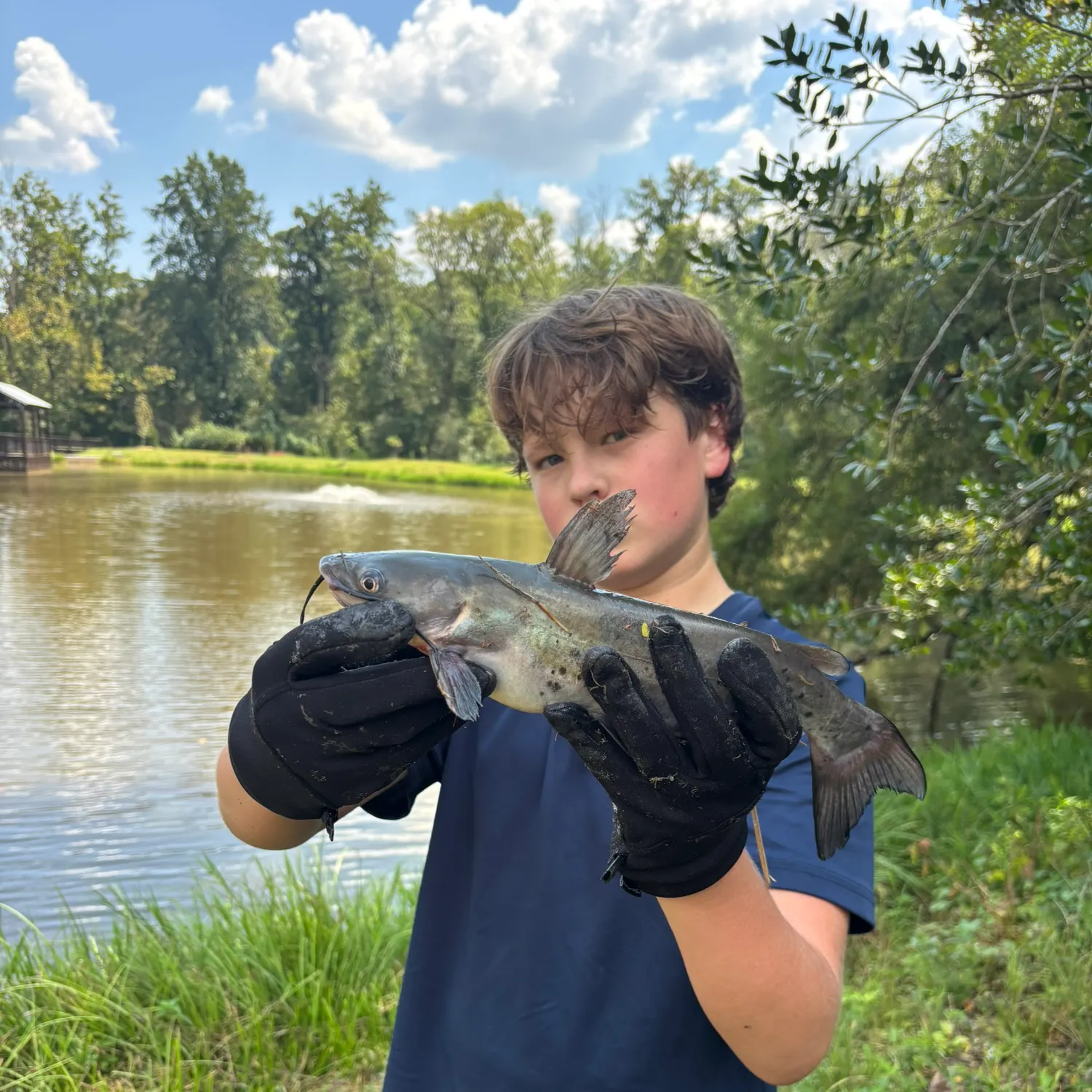 Channel catfish caught on Fishbrain