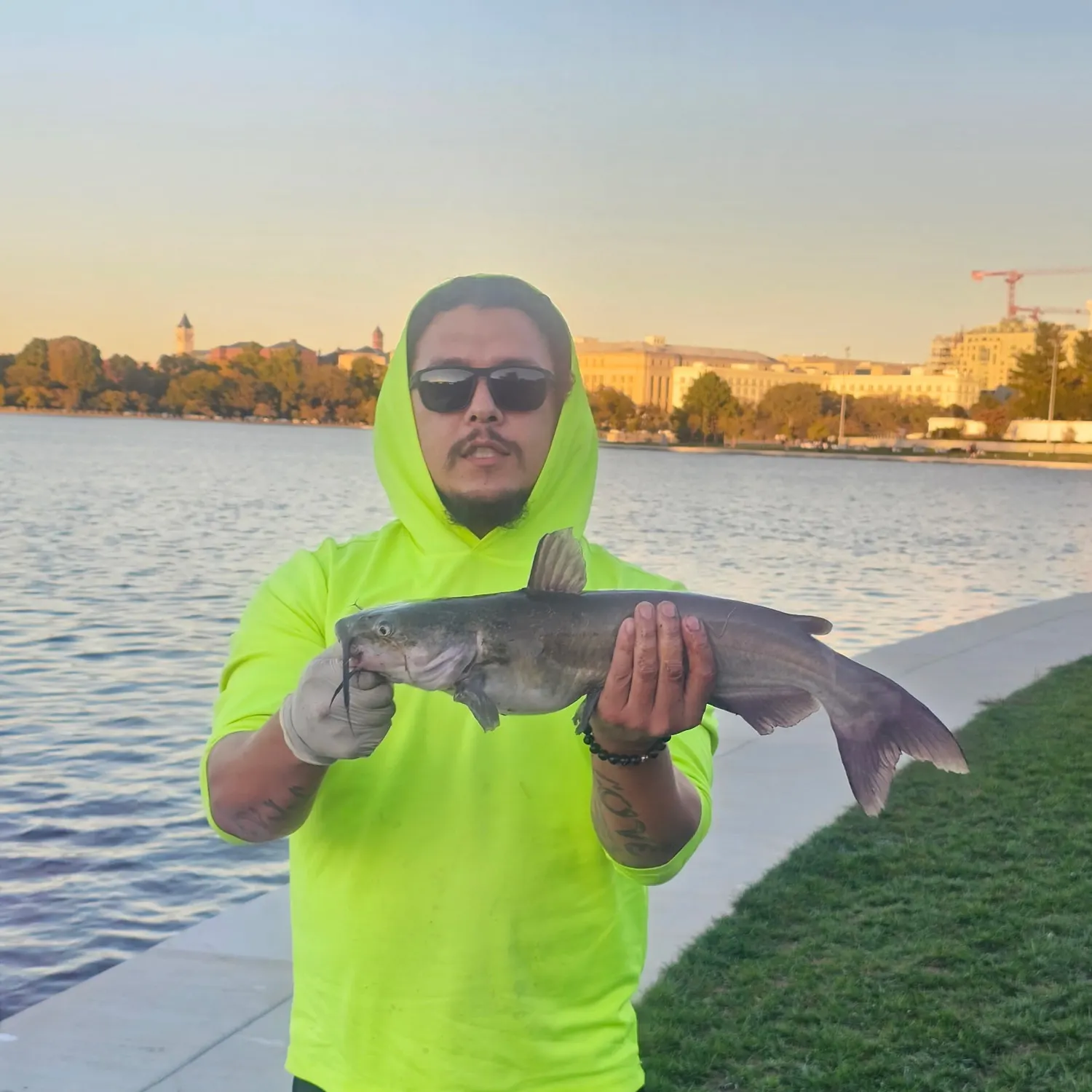 Channel catfish caught on Fishbrain