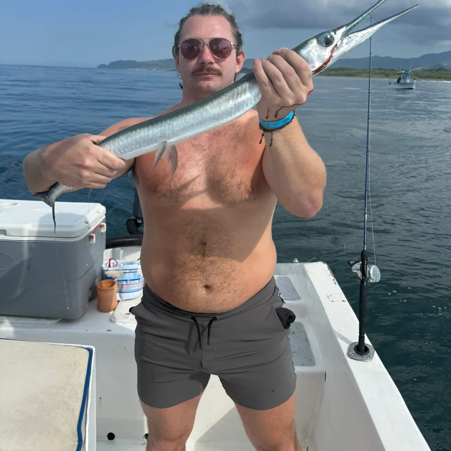 The most recent Pacific agujon needlefish catches on Fishbrain