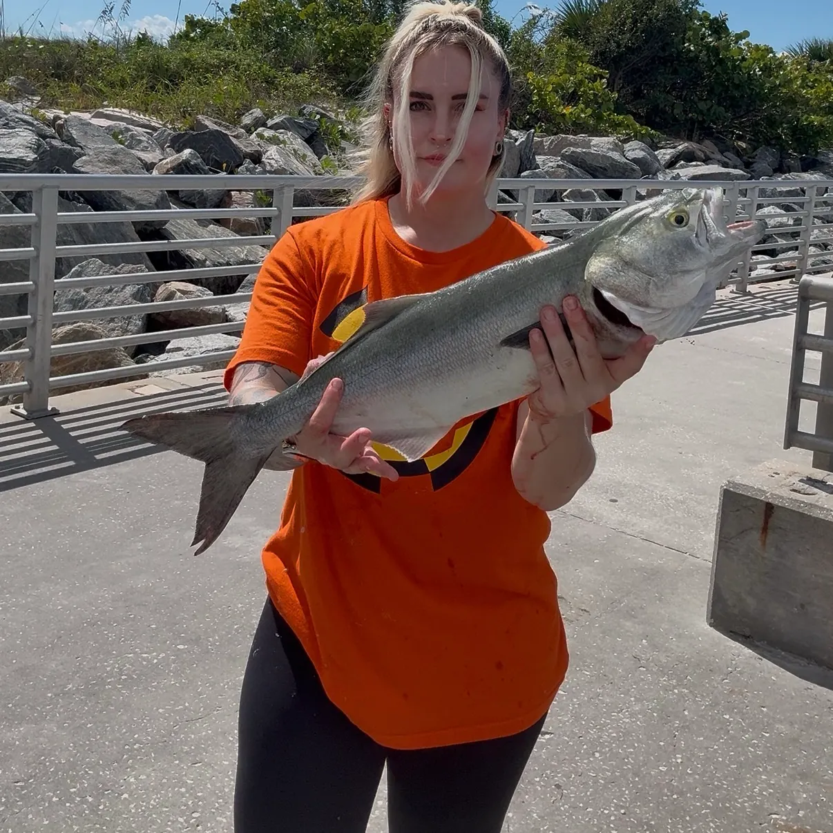 Bluefish caught on Fishbrain