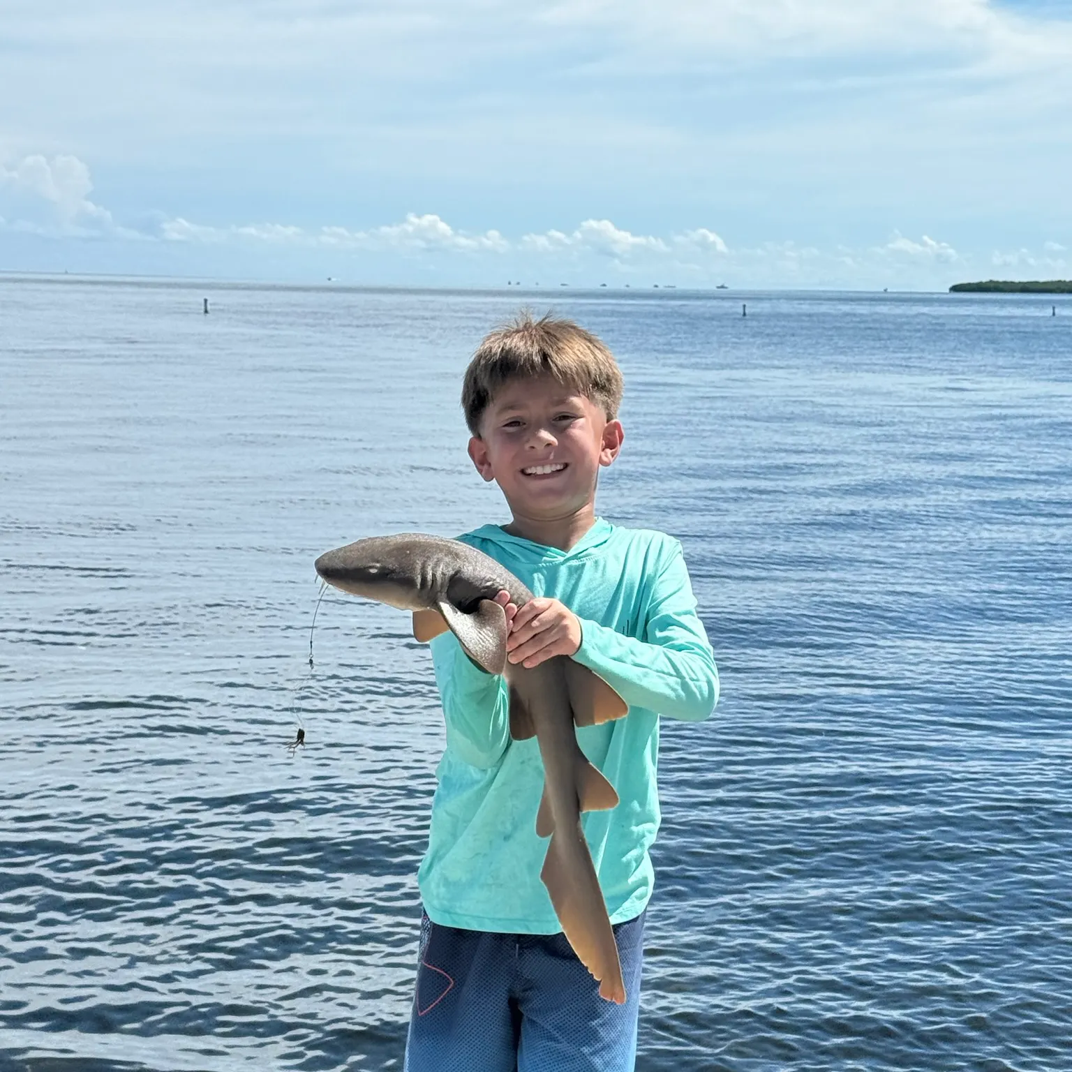 The most recent Nurse shark catches on Fishbrain