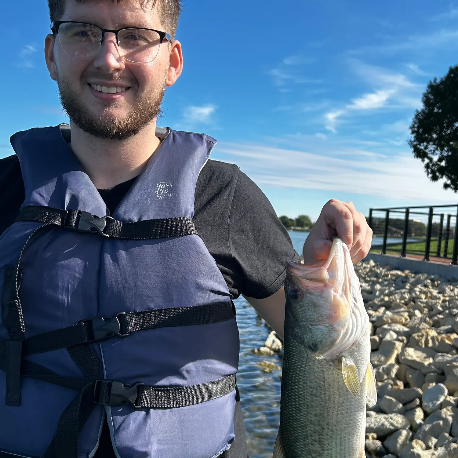 Largemouth bass caught on Fishbrain