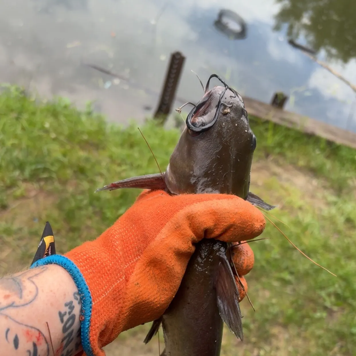 catch