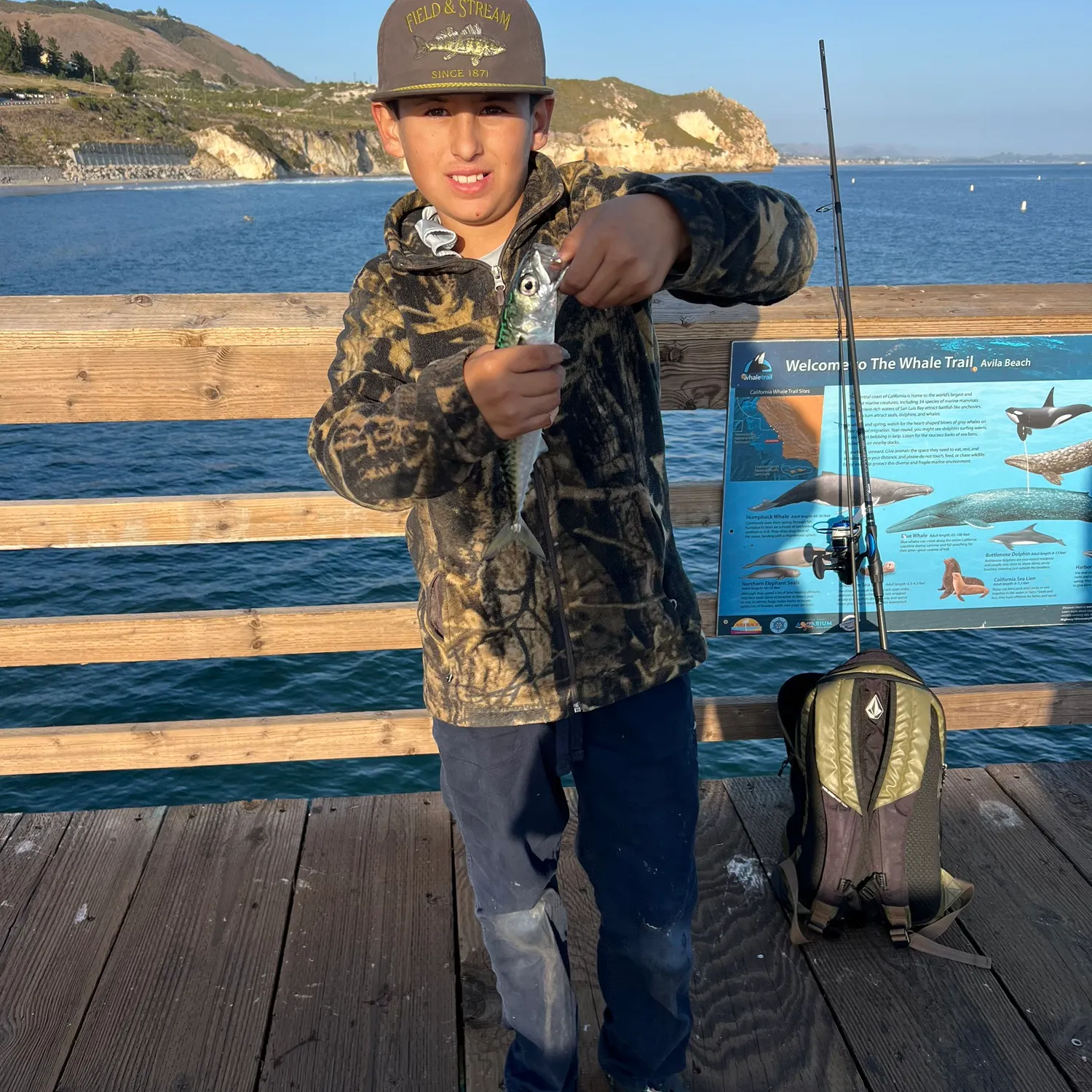 The most recent Island mackerel catches on Fishbrain
