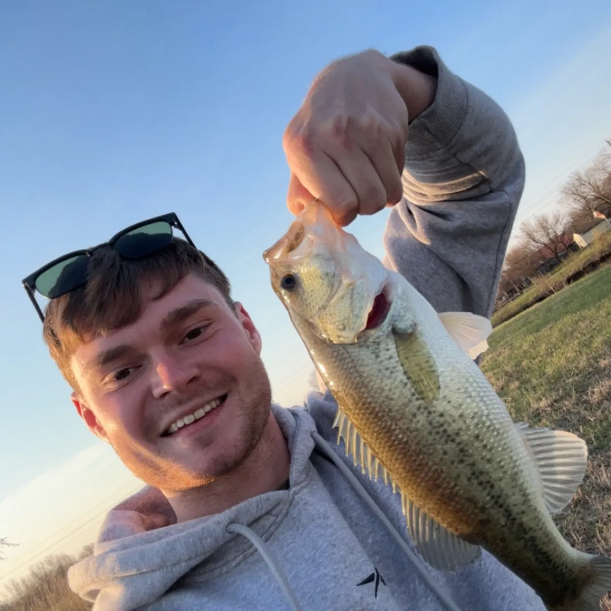 The most recent Largemouth bass catches on Fishbrain