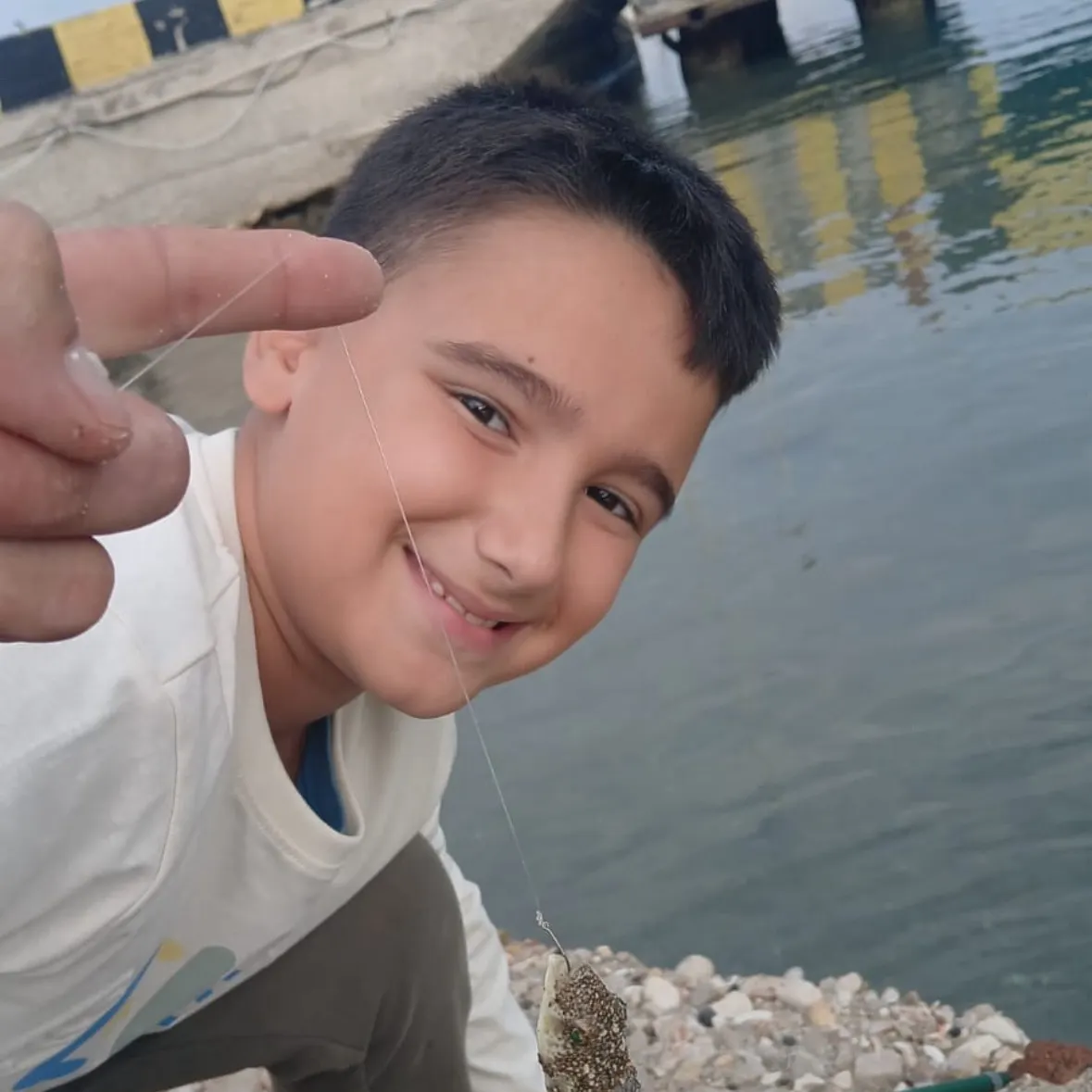 Lagocephalus gloveri caught on Fishbrain