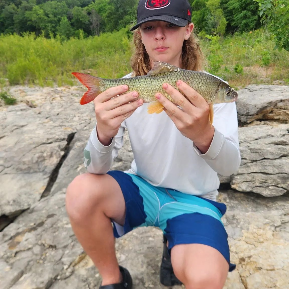 The most recent Shorthead redhorse catches on Fishbrain