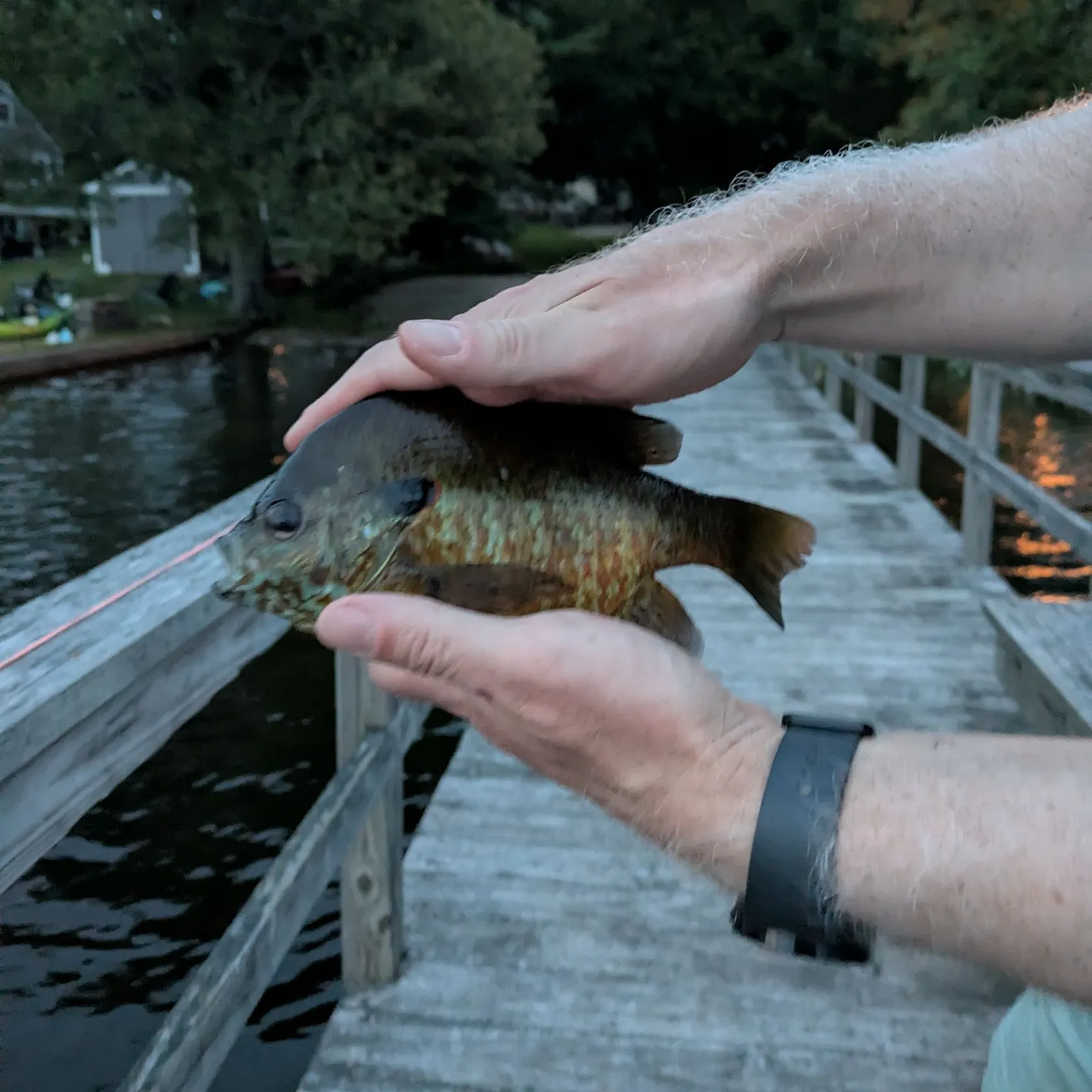 catch