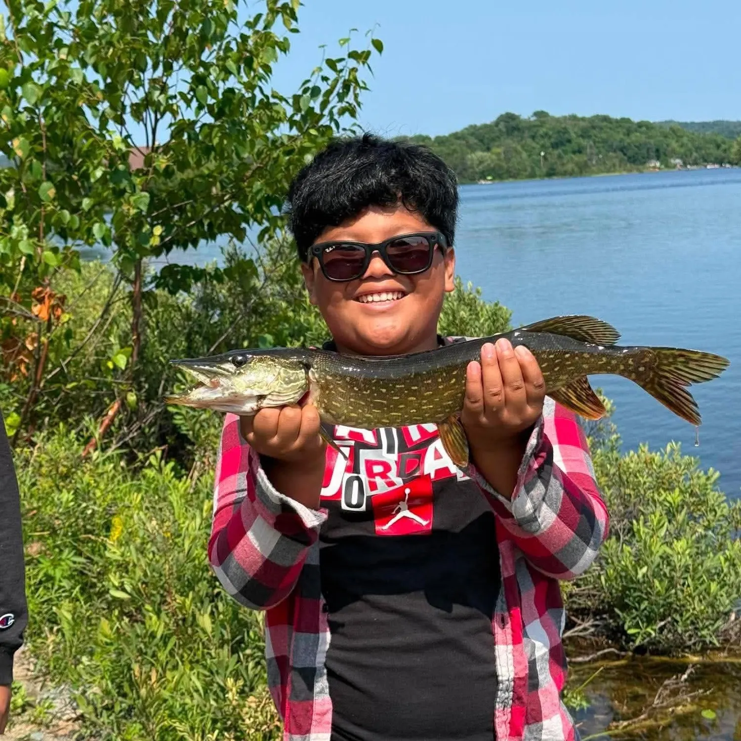 Northern pike caught on Fishbrain