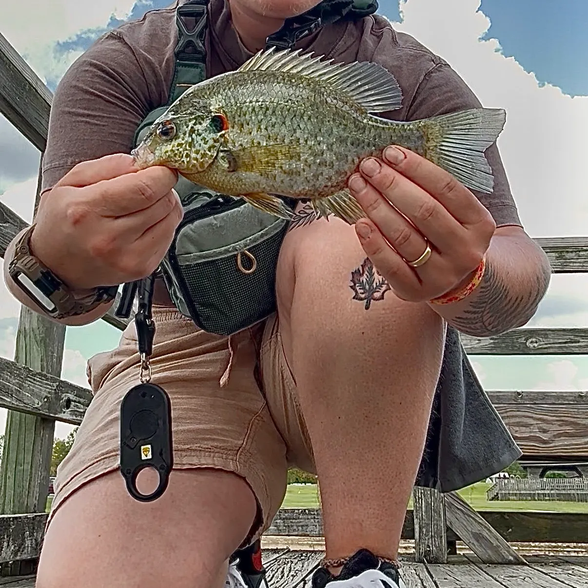 Redear sunfish caught on Fishbrain