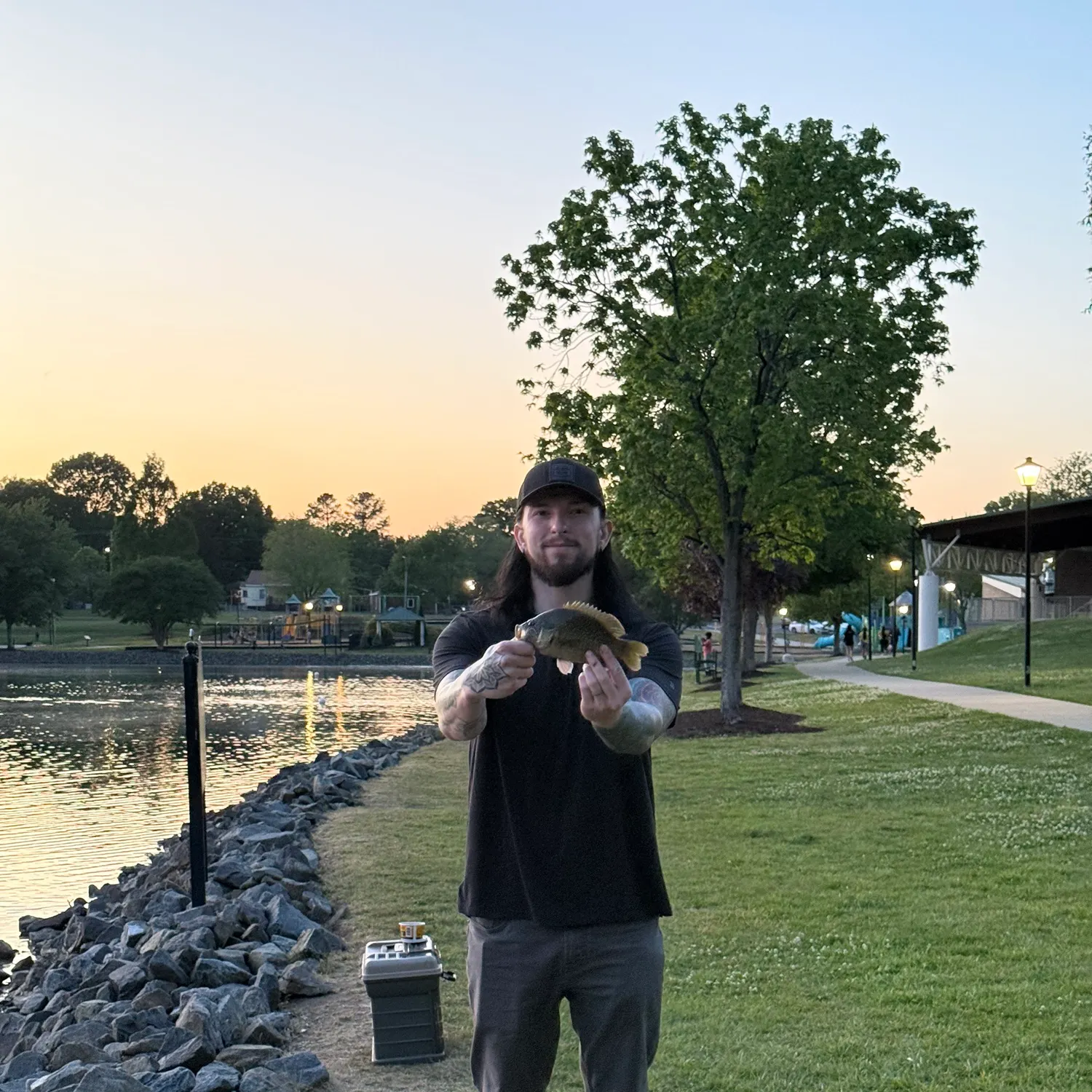 The most recent Warmouth catches on Fishbrain