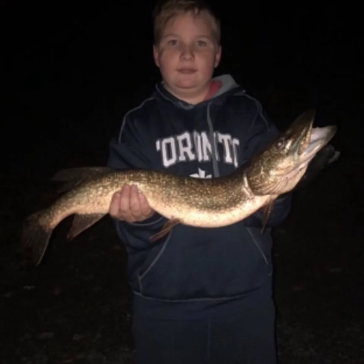 Northern pike caught on Fishbrain