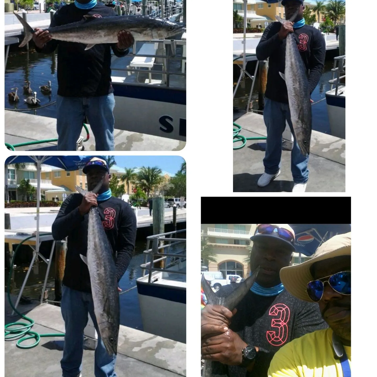 recently logged catches