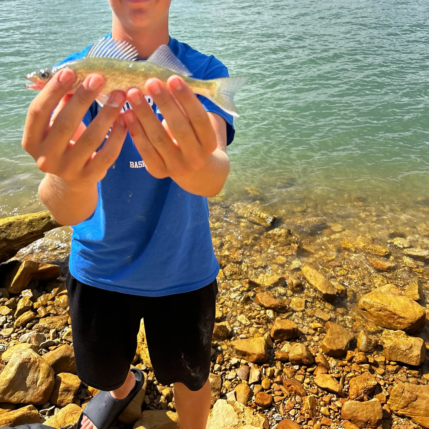 Walleye caught on Fishbrain