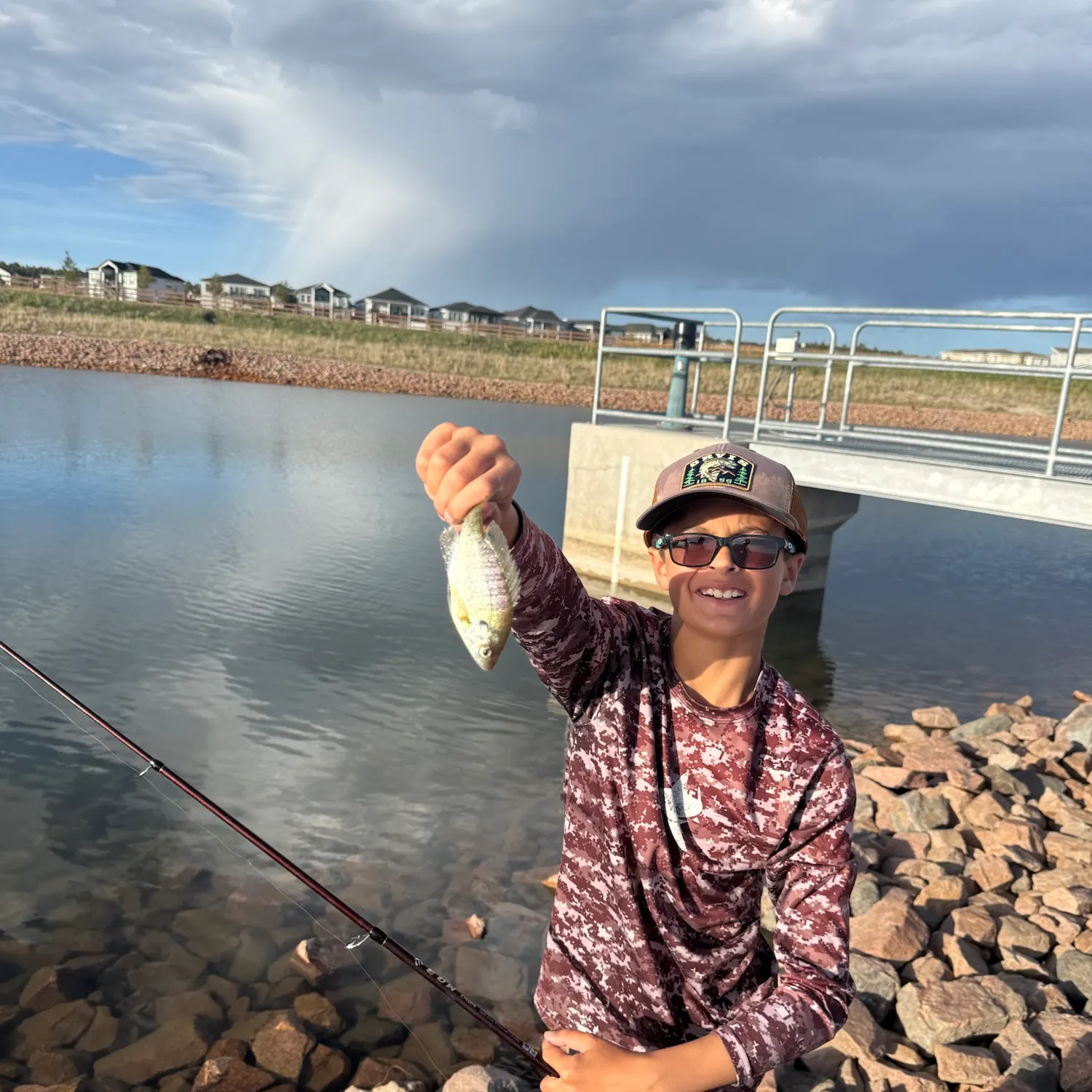 Bluegill caught on Fishbrain