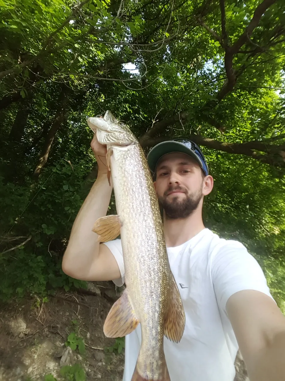 Post image from ericchilton