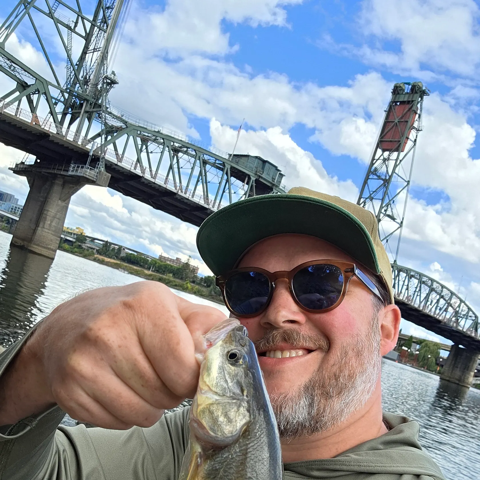 Northern pikeminnow caught on Fishbrain