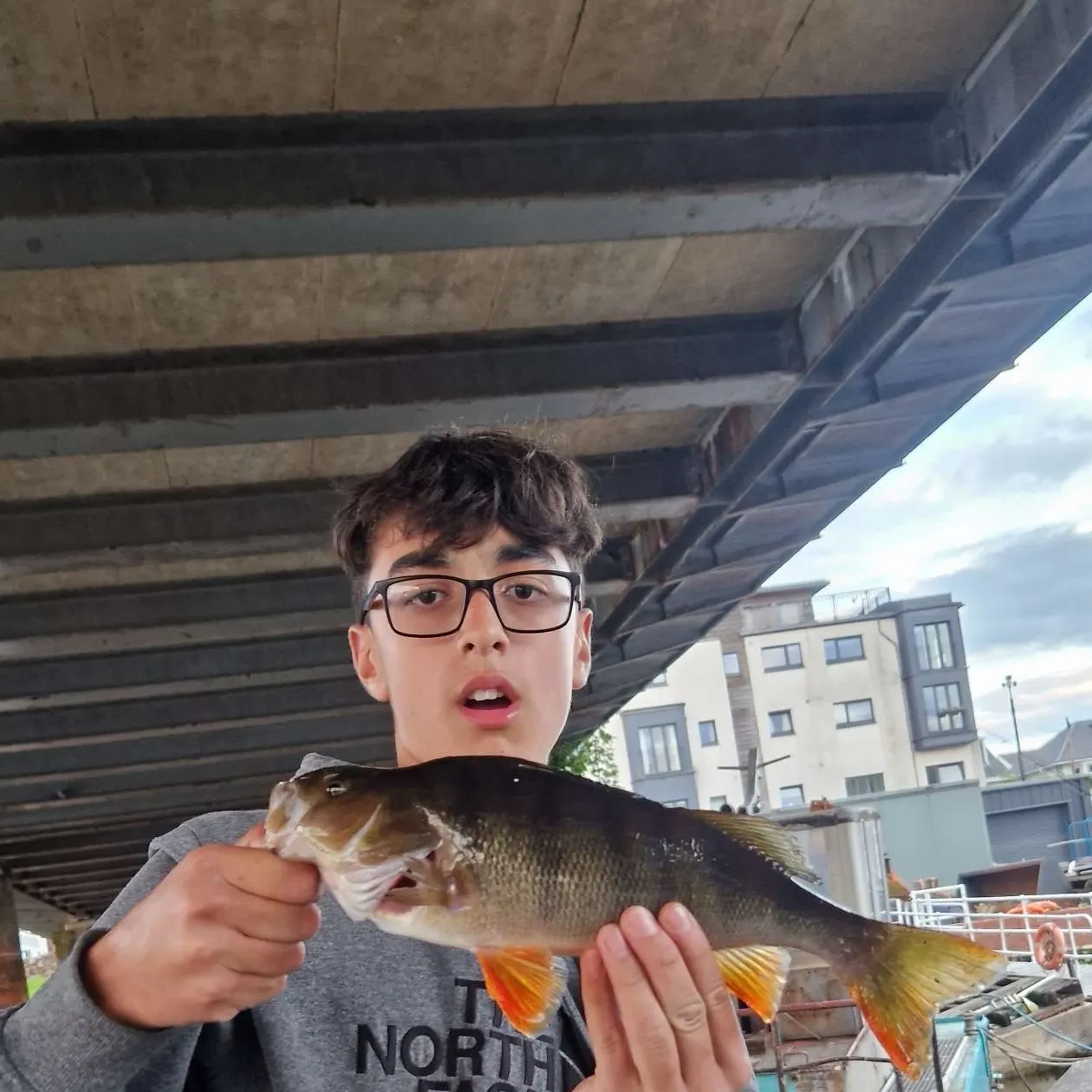 European perch caught on Fishbrain