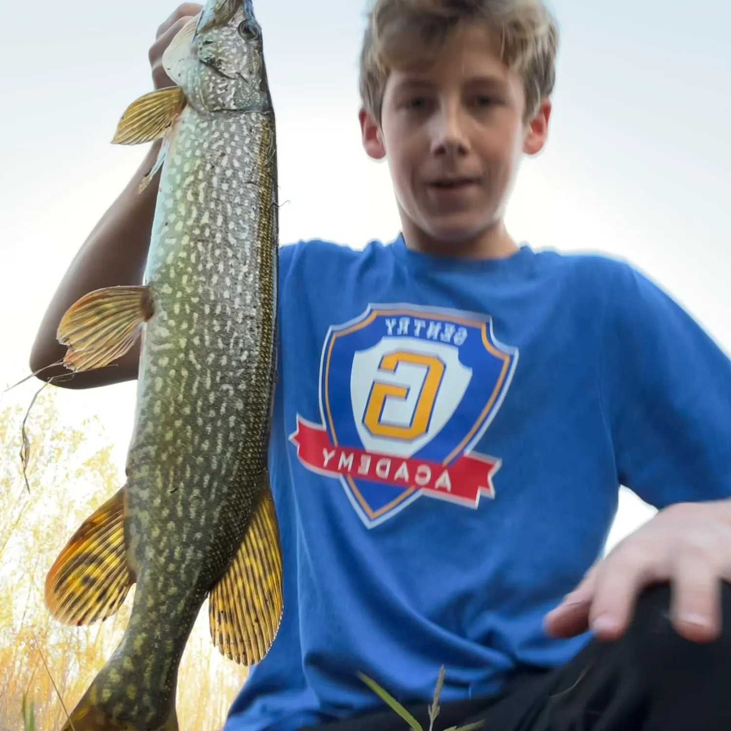 Northern pike caught on Fishbrain