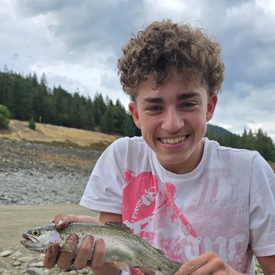 Rainbow trout caught on Fishbrain