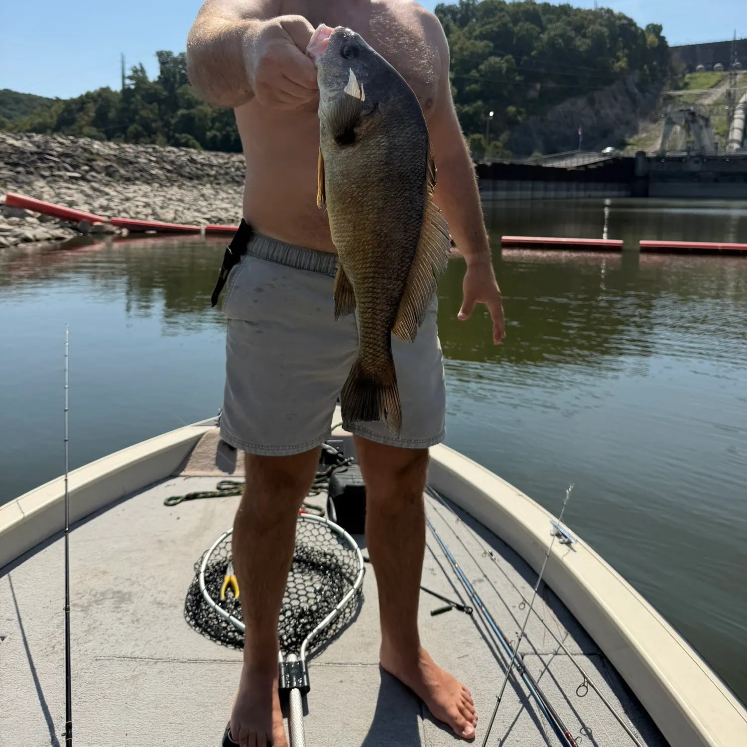 Freshwater drum caught on Fishbrain