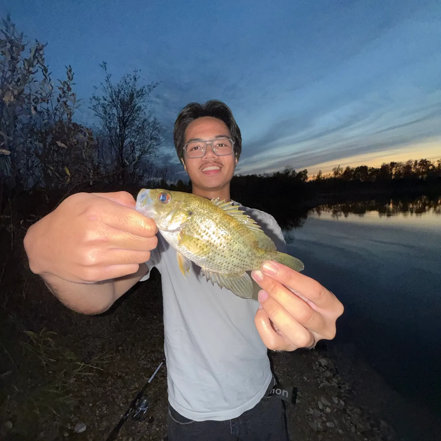 Rock bass caught on Fishbrain