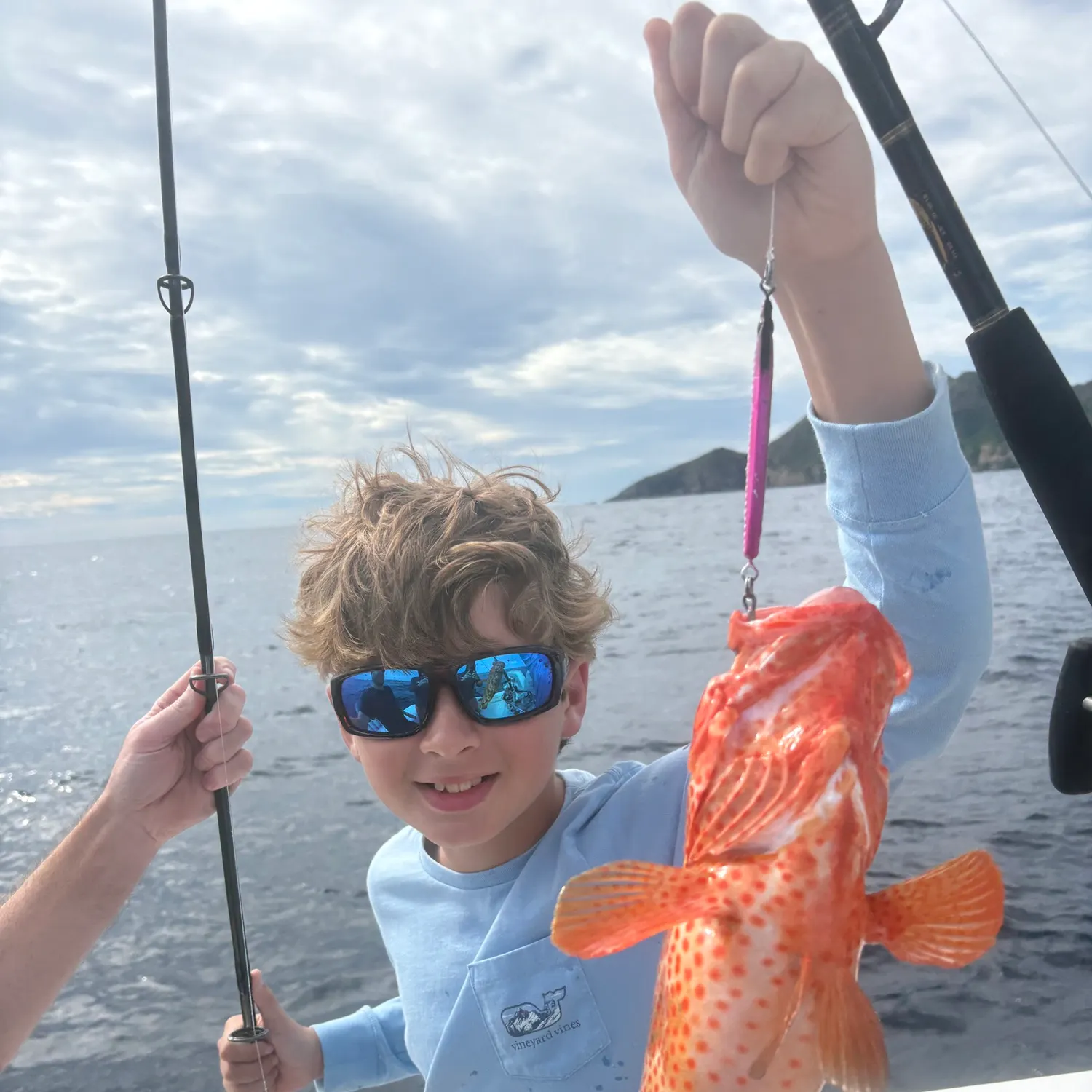 The most recent Greasy grouper catches on Fishbrain