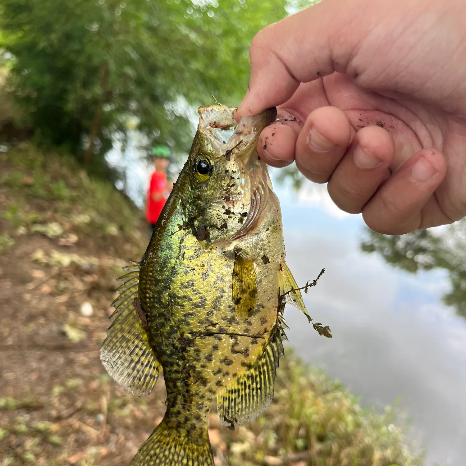 catch