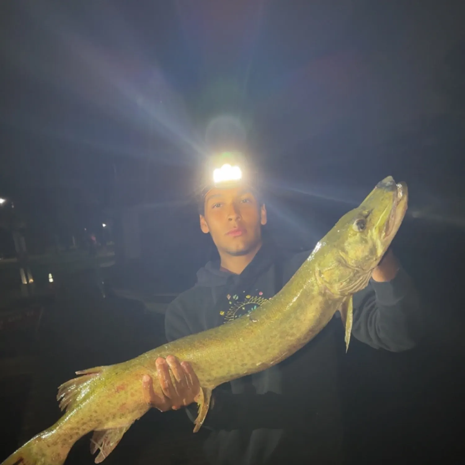 The most recent Muskellunge catches on Fishbrain