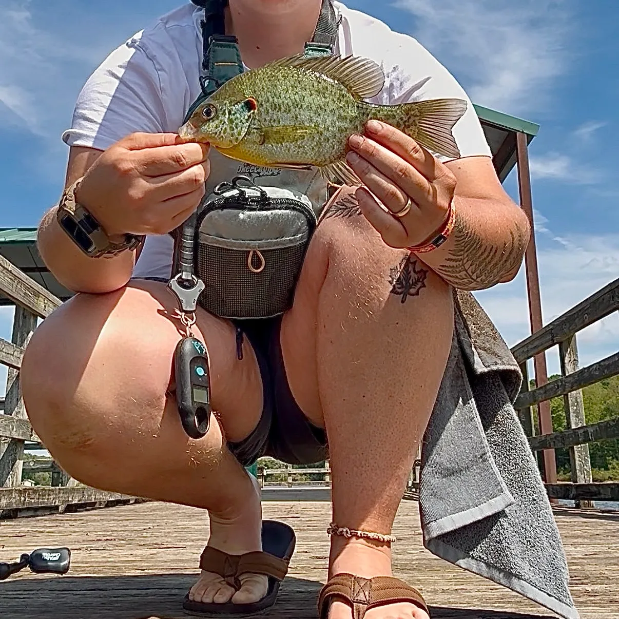 Redear sunfish caught on Fishbrain