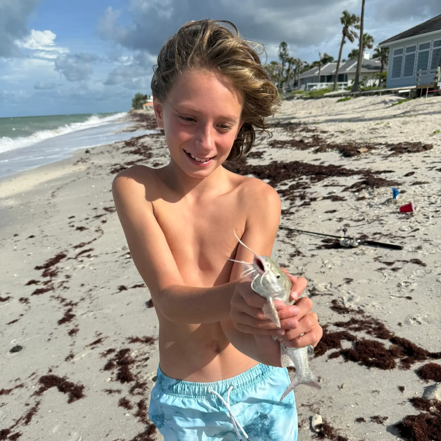 The most recent Gafftopsail sea catfish catches on Fishbrain