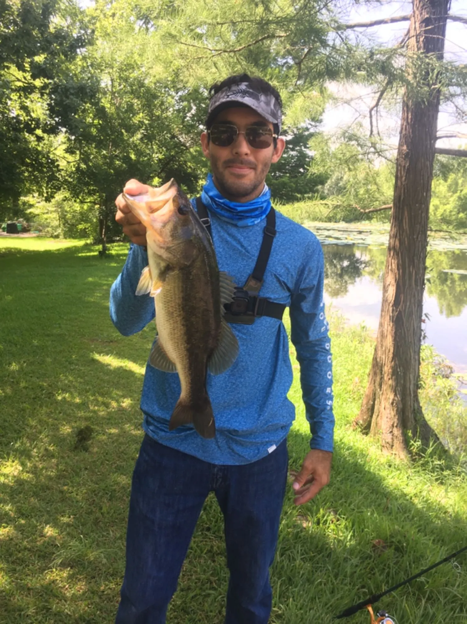 Post image from grefrain