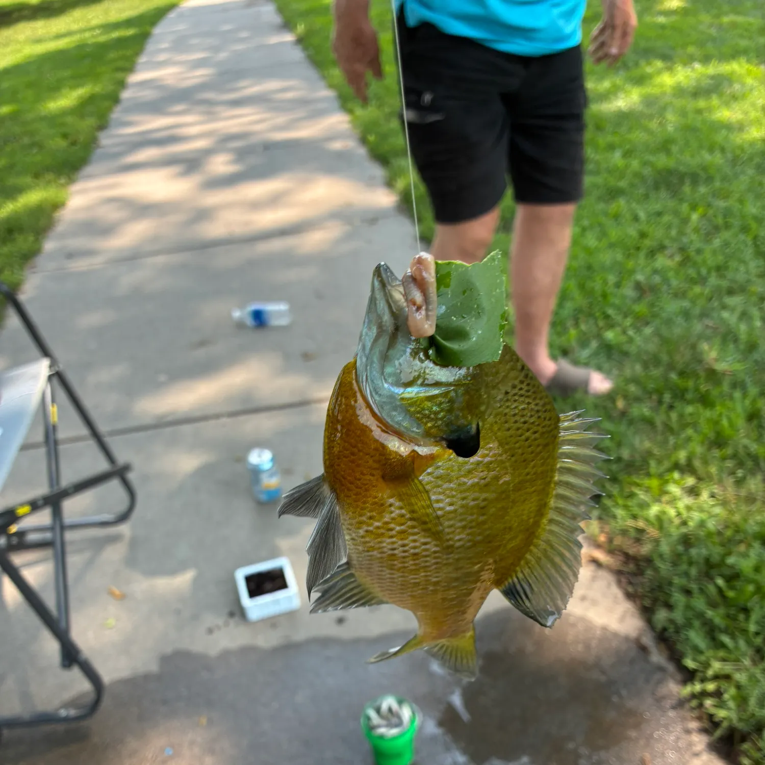 catch