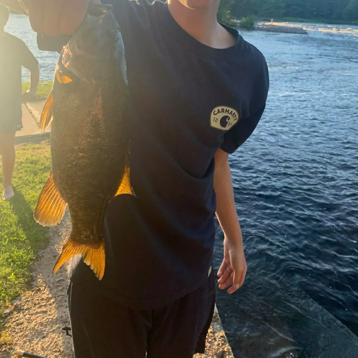 Smallmouth bass caught on Fishbrain
