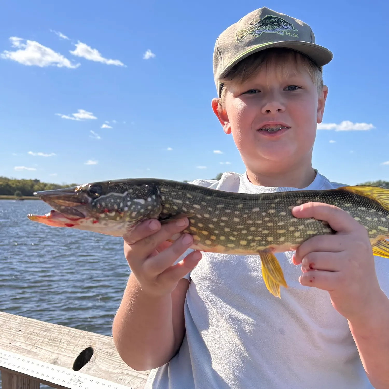 Northern pike caught on Fishbrain