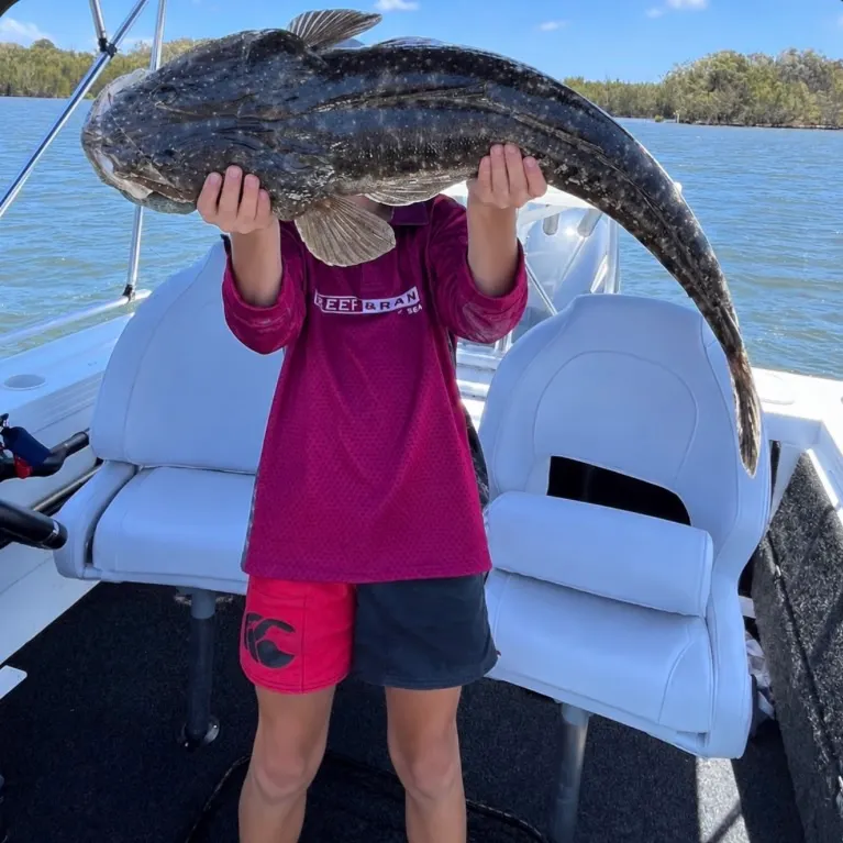 Dusky flathead caught on Fishbrain
