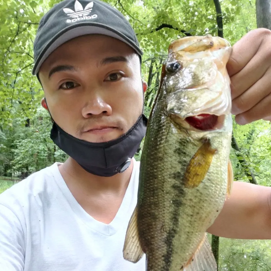 angler catch