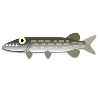 Muskie caught on Fishbrain