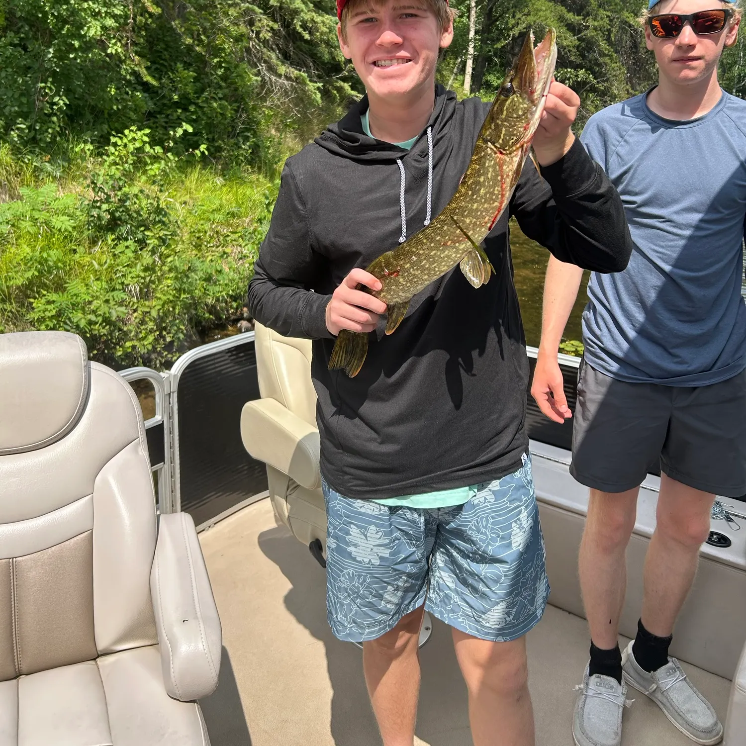 Northern pike caught on Fishbrain
