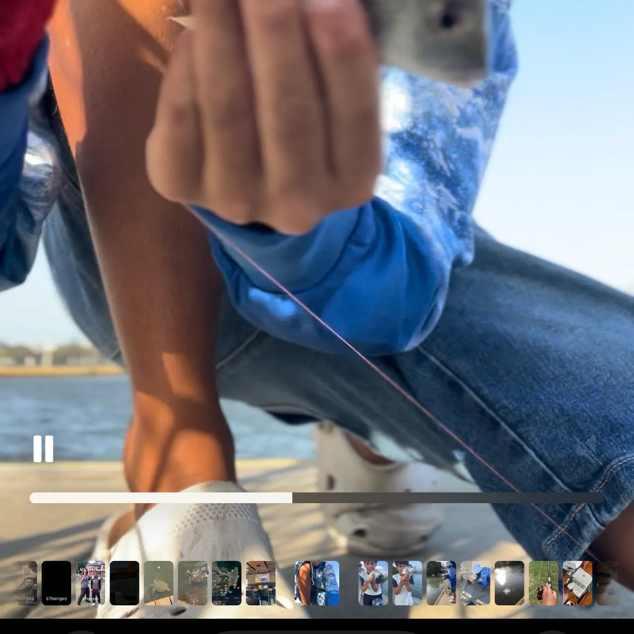 recently logged catches