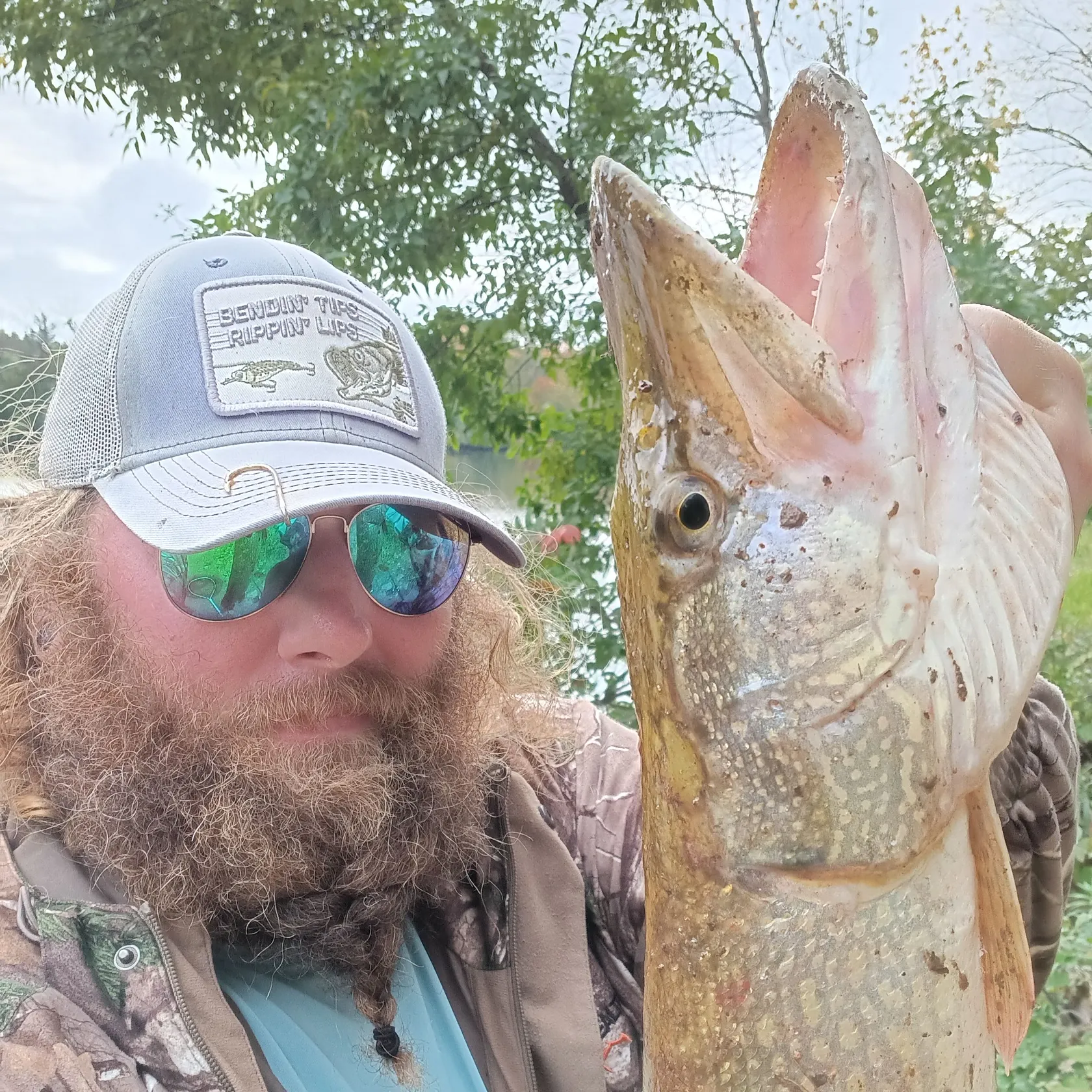 Northern pike caught on Fishbrain