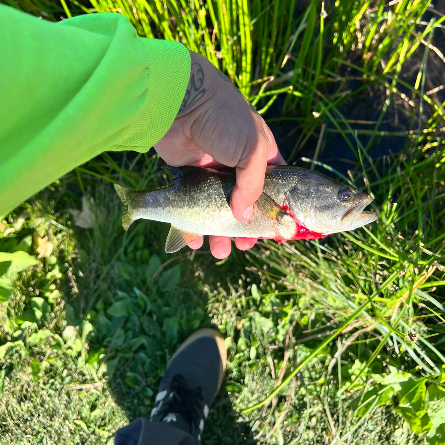 catch