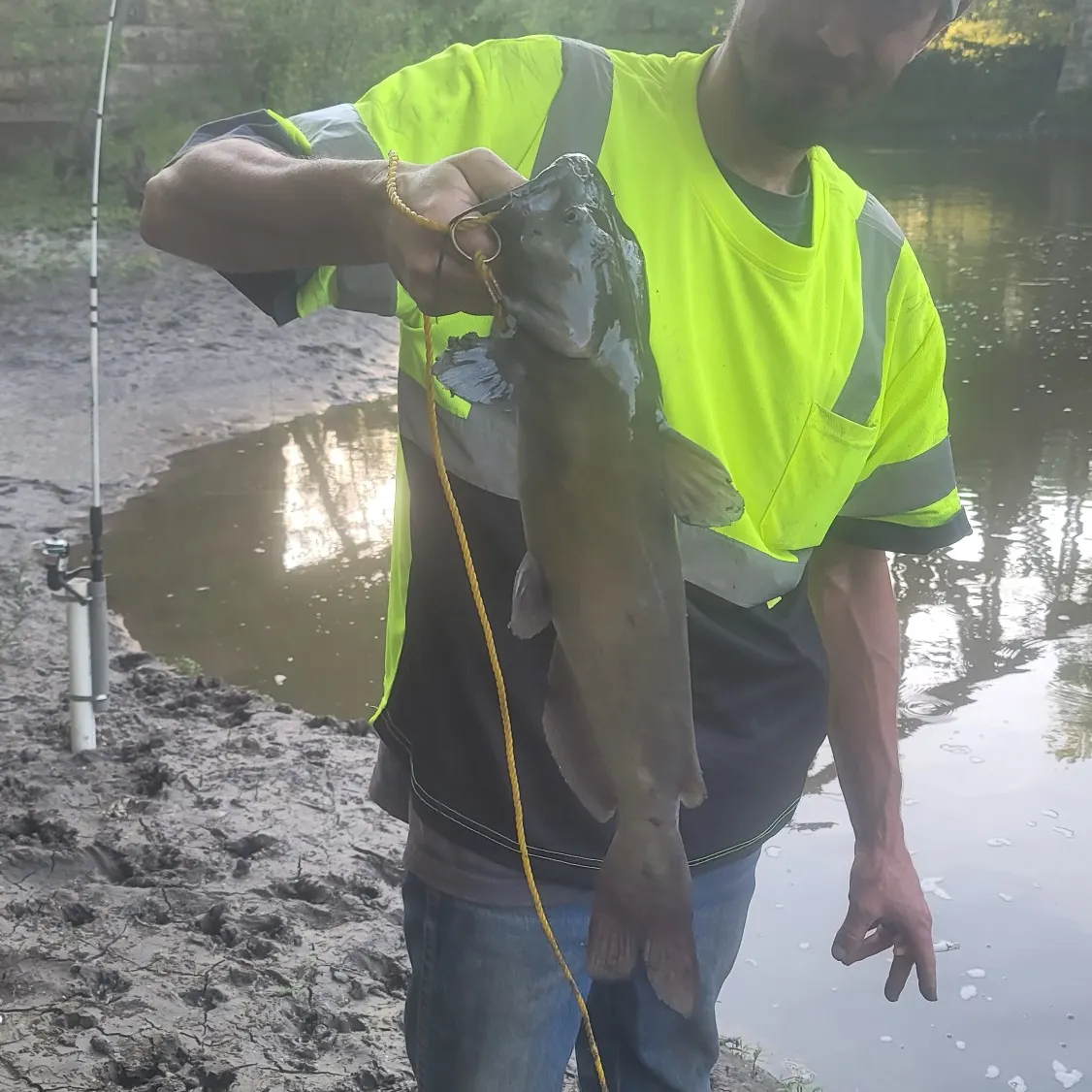 angler catch
