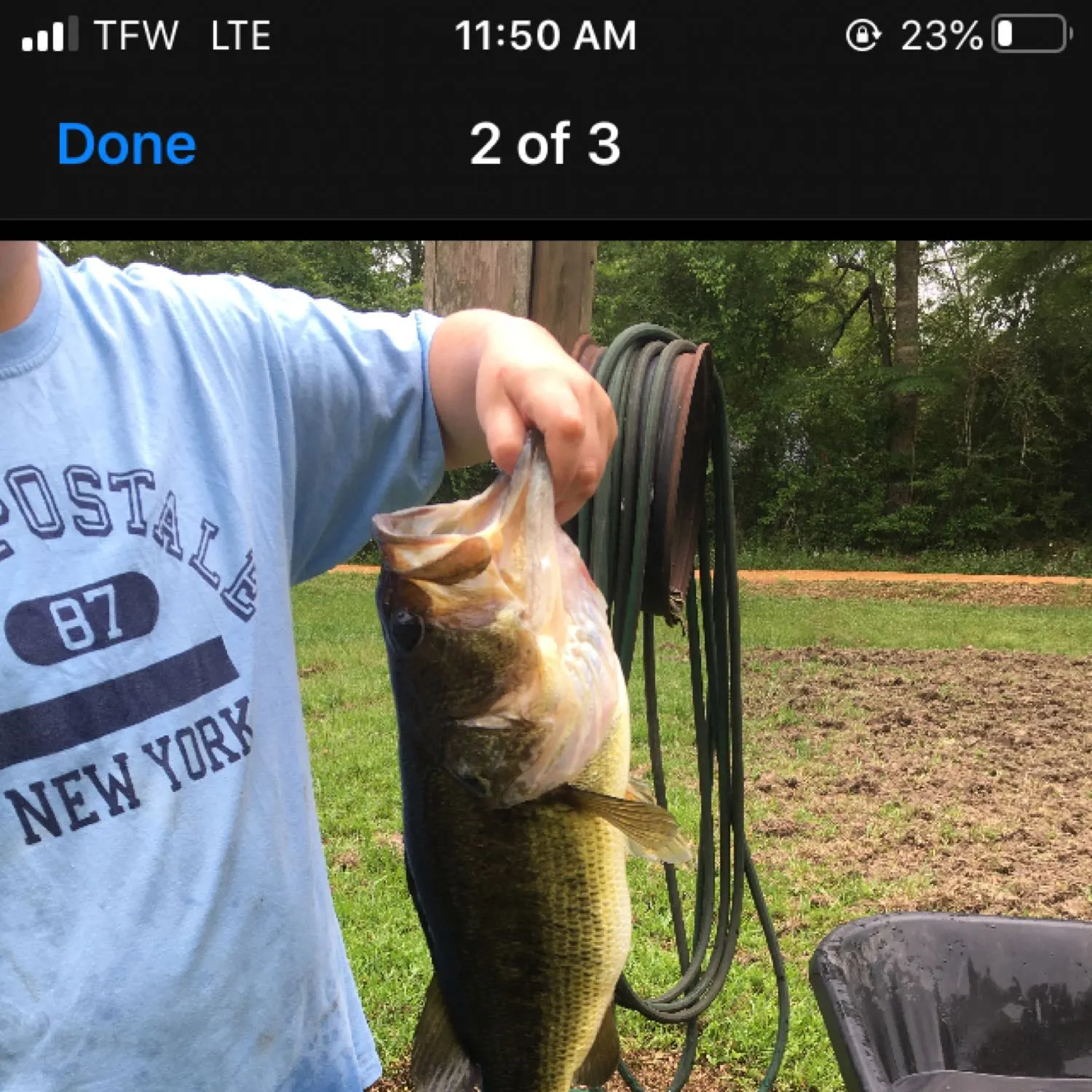 recently logged catches