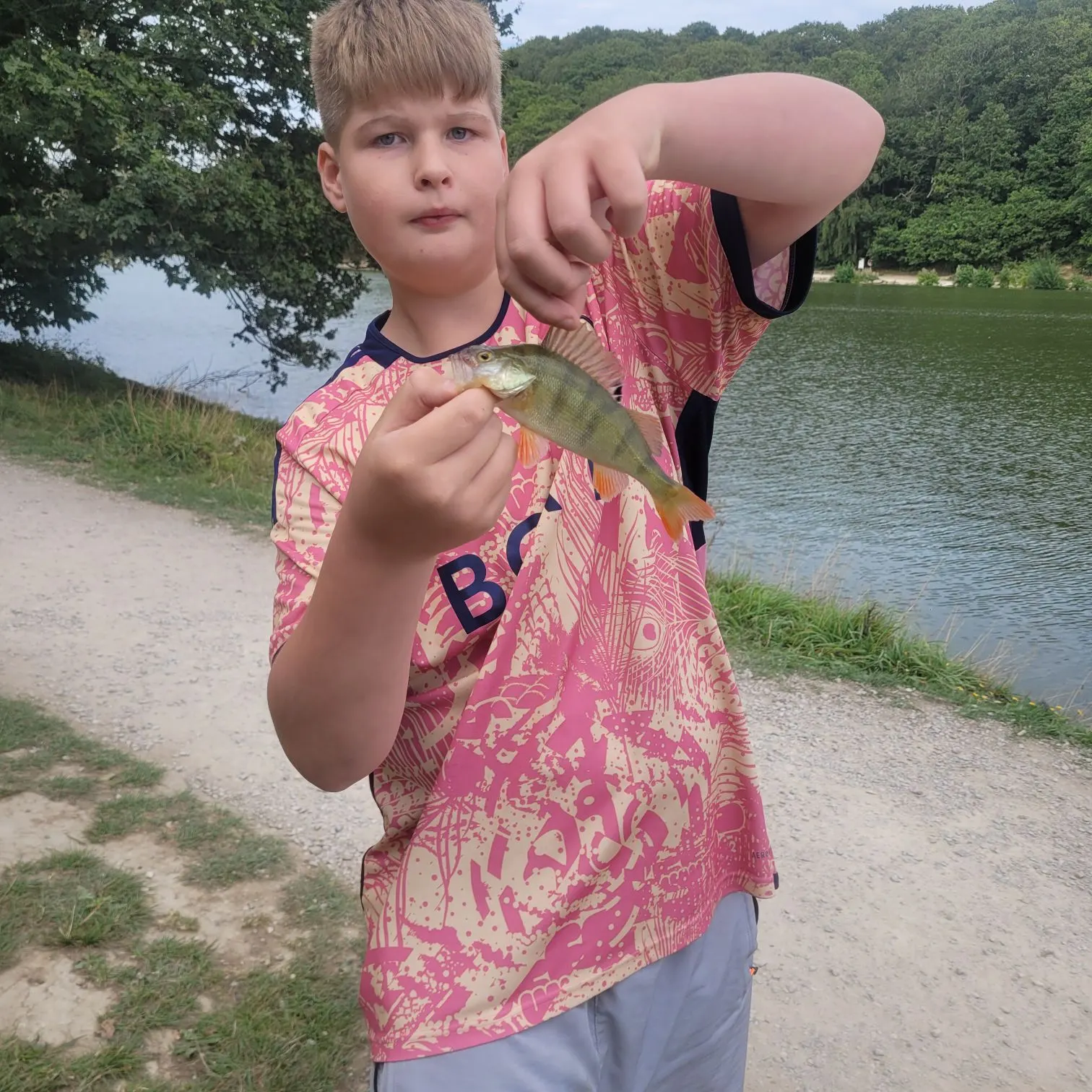 European perch caught on Fishbrain