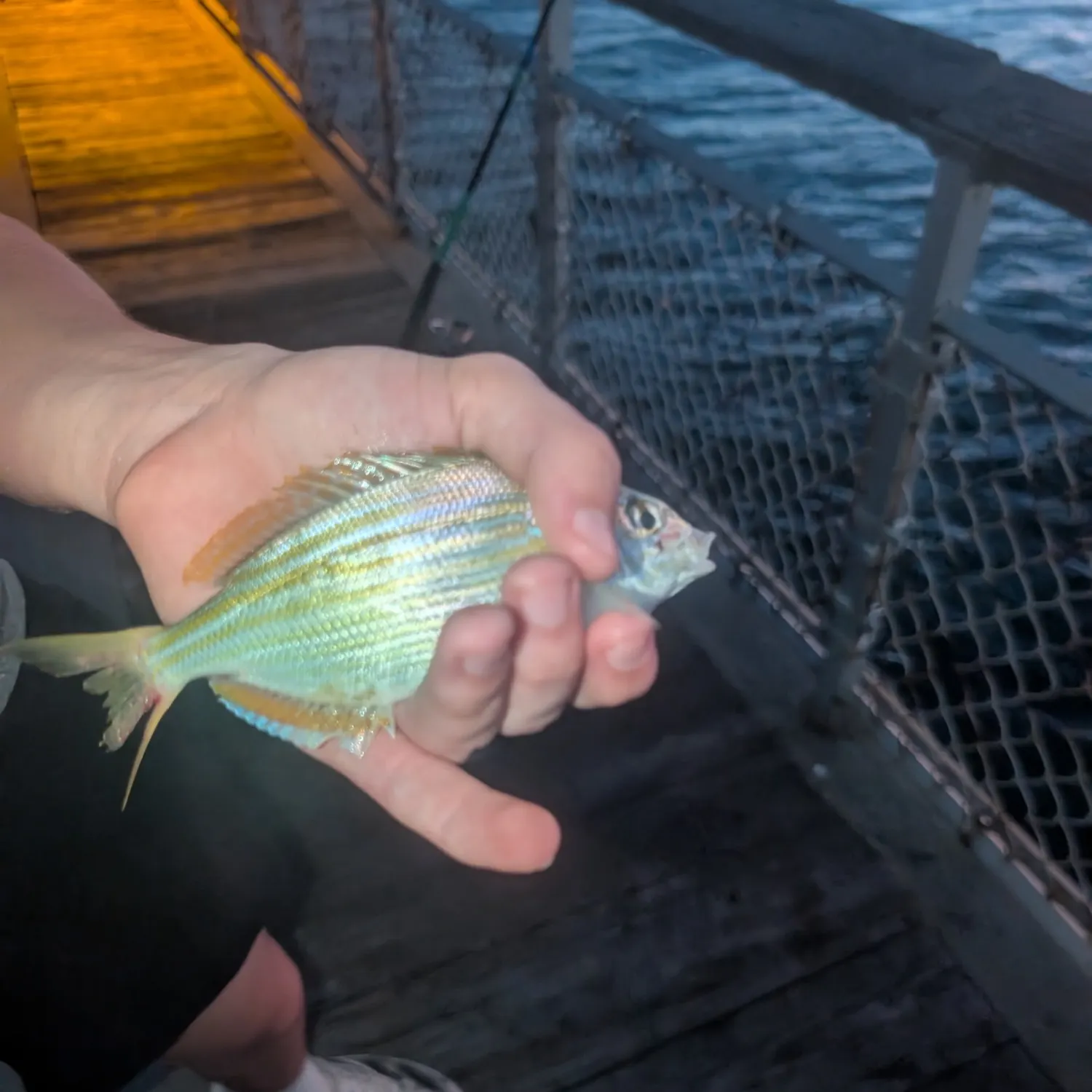 catch