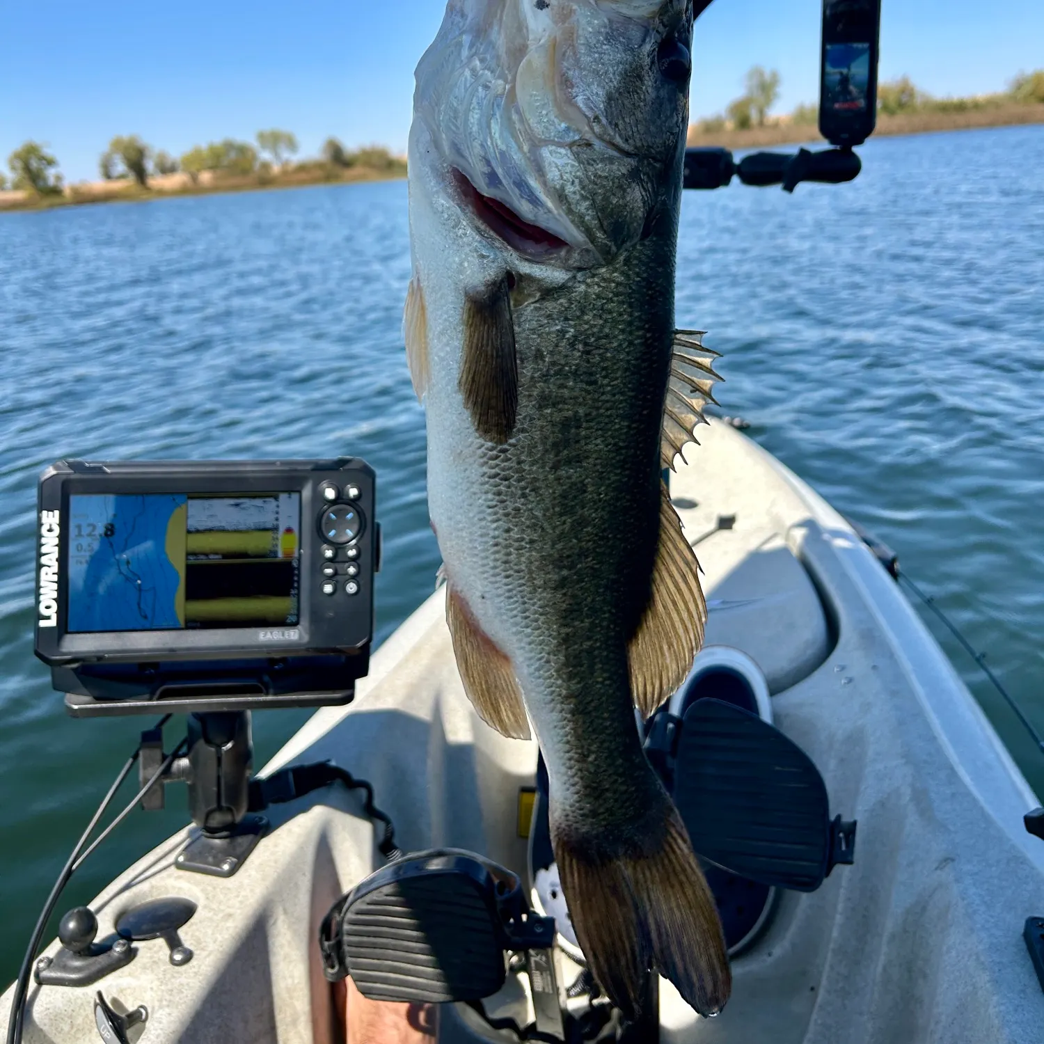 Largemouth bass caught on Fishbrain